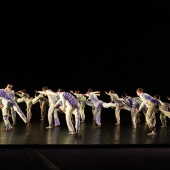 XXV Cita con la Danza