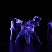 XXV Cita con la Danza