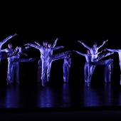 XXV Cita con la Danza