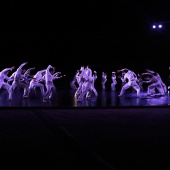 XXV Cita con la Danza