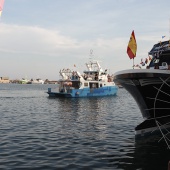 Virgen del Carmen