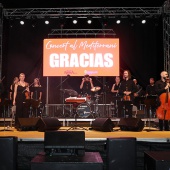 Concert al Mediterrani - Nino Bravo