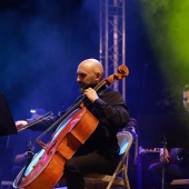 Concert al Mediterrani - Nino Bravo