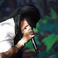 Rototom Sunsplash , Maxi Priest