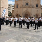 Entrega de distinciones Castellón