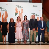 Premis Ciutat de Castelló