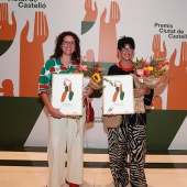 Premis Ciutat de Castelló