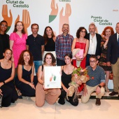 Premis Ciutat de Castelló