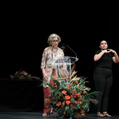 Premis Ciutat de Castelló
