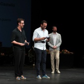 Premis Ciutat de Castelló