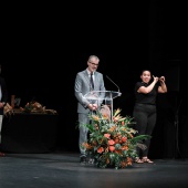 Premis Ciutat de Castelló