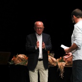 Premis Ciutat de Castelló