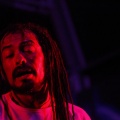 Rototom 2011, Livity Songs