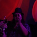 Rototom 2011, Livity Songs
