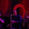 Rototom 2011, Livity Songs