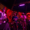 Rototom 2011, Livity Songs
