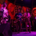 Rototom 2011, Livity Songs