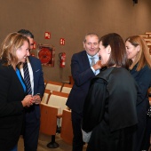Presidenta de la Audiencia Provincial de Castellón