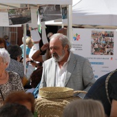 Día Internacional de las Personas Mayores
