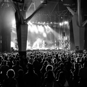 Capla festival