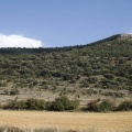 Castellón, Morella