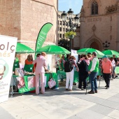 Día Mundial Contra el Cáncer de Mama