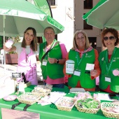 Día Mundial Contra el Cáncer de Mama