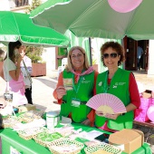 Día Mundial Contra el Cáncer de Mama