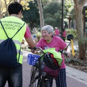 Un Paseo por la Vida