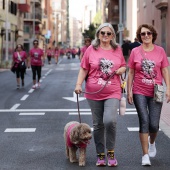 Un Paseo por la Vida