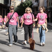 Un Paseo por la Vida