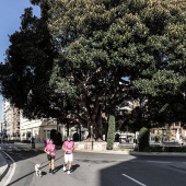 Un Paseo por la Vida