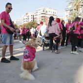 Un Paseo por la Vida