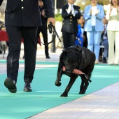Castellón, 2025