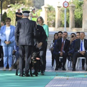 Castellón, 2025