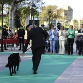 Castellón, 2025