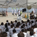 Castellón, Fundación Ahora