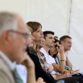 Festividad de Todos los Santos