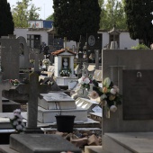 Festividad de Todos los Santos