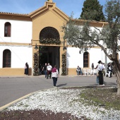 Festividad de Todos los Santos