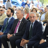 Festividad de Todos los Santos