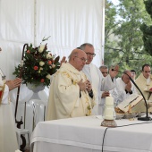 Festividad de Todos los Santos