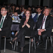 Gaiata 11 Forn del Pla