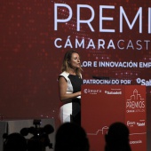 Premios Cámara 2024