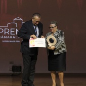 Premios Cámara 2024