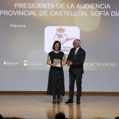 La Noticia del Año - Castellón Información