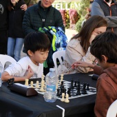 Torneo intergeneracional de ajedrez