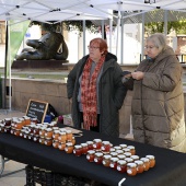 La festa de la Taronja