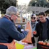La festa de la Taronja