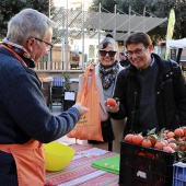 La festa de la Taronja